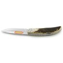 PUMA IP paloma stag