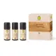 Primavera Aroma Sauna Set 3x Kraft & Ruhe