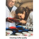 Saquella Caffe Bar Italia Extra Crema Bohnen, 1er Pack (1 x 1 kg)