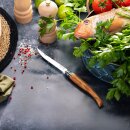 Opinel Taschenmesser Effilé 12 Olivenholz -Neu - für Fischfilet