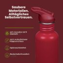 Klean Kanteen Classic 800 ml – Flip Seal Dunkelrot / Bordeauxrot
