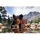 LifeStraw Peak Series - Personal Water Filter Straw - Wasserfilter