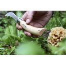 Opinel Pilzmesser, rostfrei Größe 8 mit Bürste Made in France